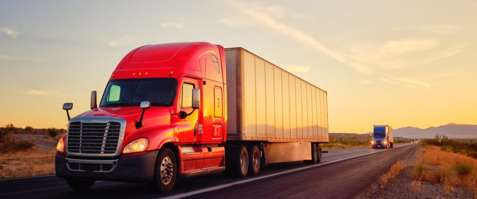 International Trucking Services: Everything You Need to Know